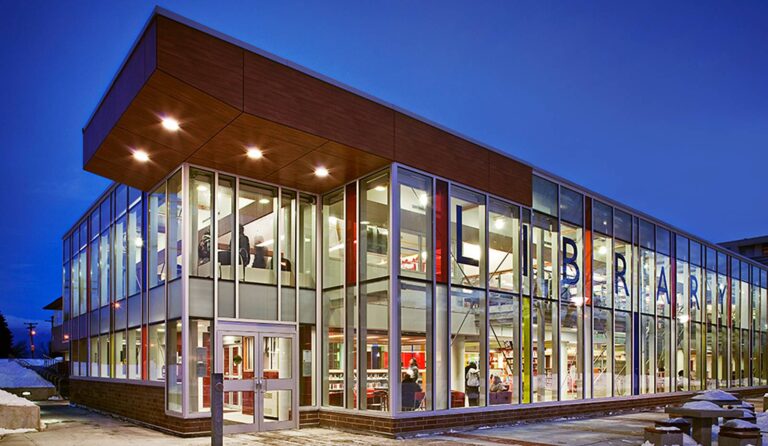 How Public Libraries Support Newcomers to Canada