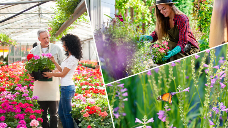 How to Plant a Pollinator-Friendly Garden