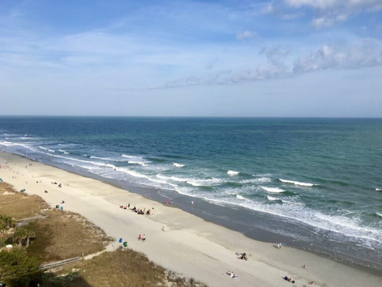Myrtle Beach Blooms with Creativity