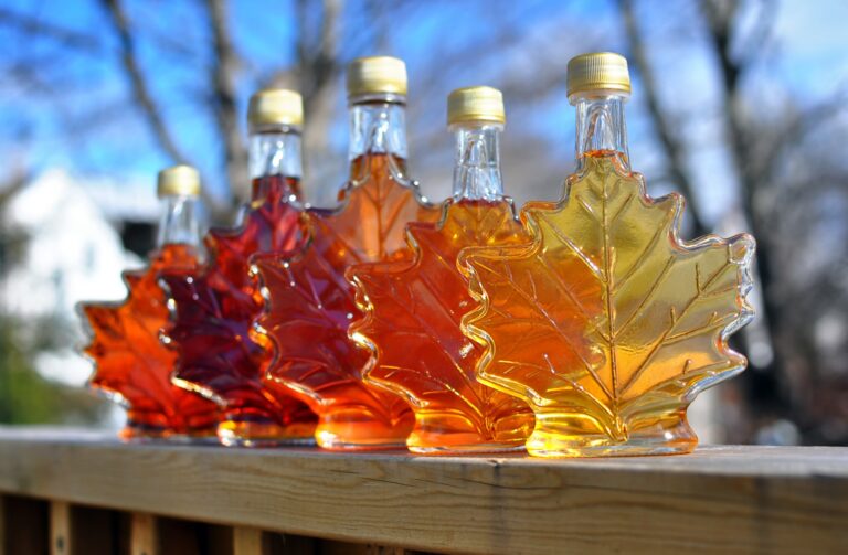 Khám phá các ngành công nghiệp và văn hóa Canada: Maple Syrup – Siro cây phong