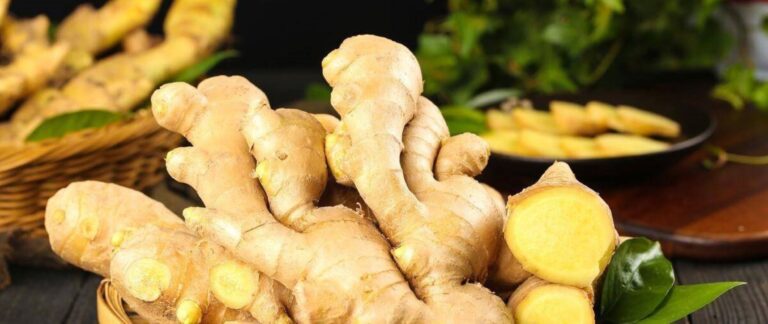 Gừng và những lợi ích tốt cho sức khỏe