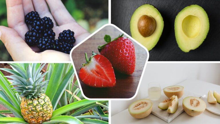 5 loại trái cây ít carbohydrate cho người tiểu đường