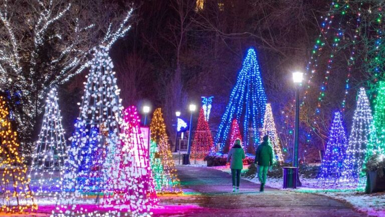 10 Christmas Markets and Events for the Holiday Season in Ontario