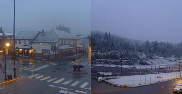 “Giáng sinh tháng 6”: Tuyết bao phủ khắp Alberta