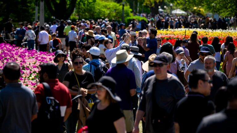 Dân số Canada vượt mốc 41 triệu người