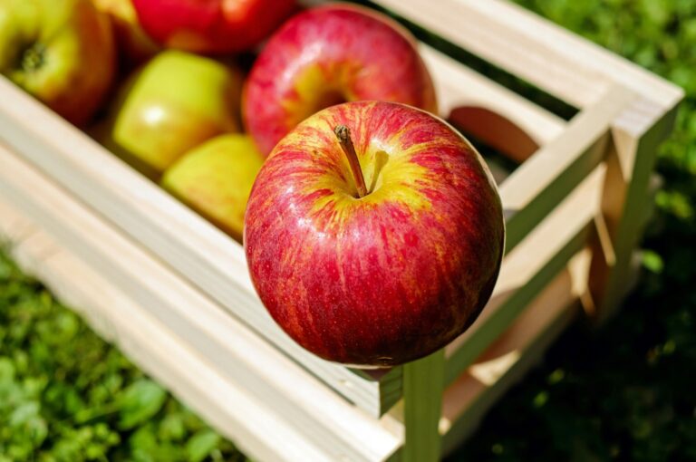 Những Thực Phẩm Giàu Chất Xơ Giúp Giảm Cholesterol