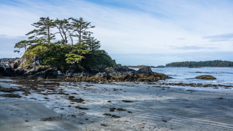 Vancouver – Thành Phố Hạnh Phúc Nhất Bắc Mỹ