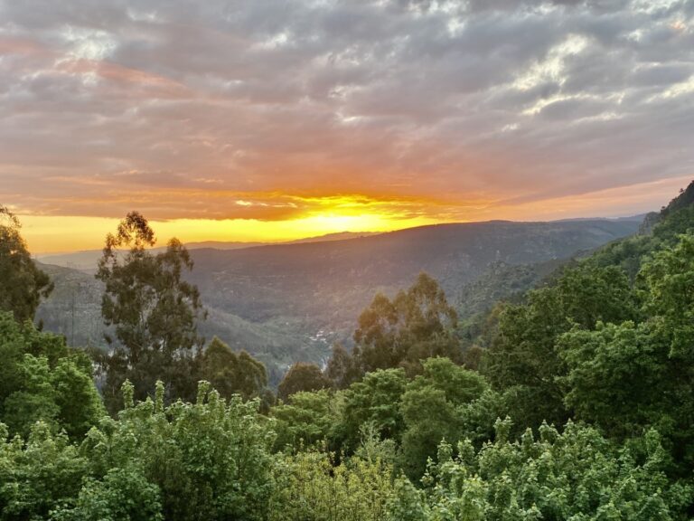 Galicia: Where the Octopus Is Tender, the Wine Is Heroic, and Even the Forests Tell Ghost Stories
